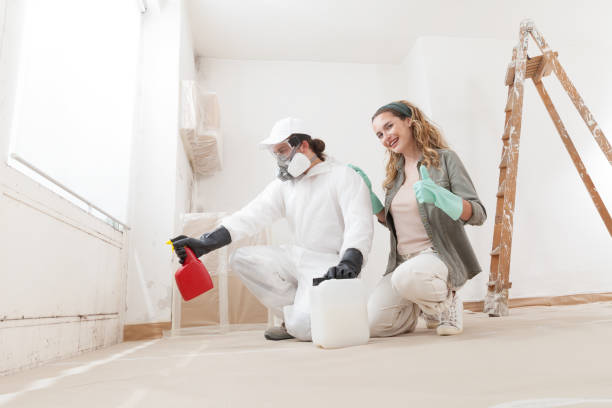 Professional Mold Removal in York, AL